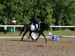 IMG_4860_web